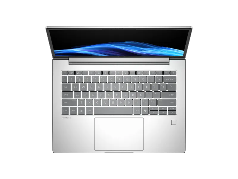 HP ProBook 4 G1i 14 / UMA Ultra 5 225U 4 14 inch G1i / 14.0 WUXGA UWVA 300 FHDC 60Hz bnt Panel / 16GB (1x16GB) DDR5 5600 SODIMM Memory / 512GB PCIe NVMe Value / W11p64 / 1yw / Dual AryMic F USB2 NFOVCamera / Clickpad Backlit / Intel AX211 Wi-Fi 6E +BT 5.