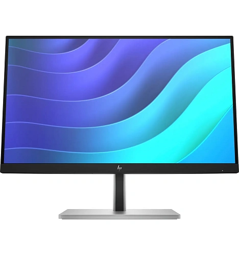 HP E22 G5 FHD Monitor