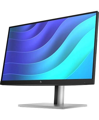 HP E22 G5 FHD Monitor