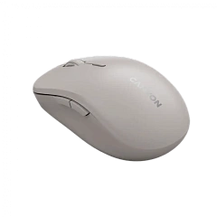 CANYON mouse MW-12 Dual band Wireless Beige
