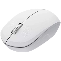 CANYON mouse MW-04 3buttons BT Wireless White