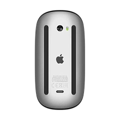 Magic Mouse - Black Multi-Touch Surface,Model A3204