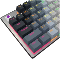 LORGAR Azar 514, Wired mechanical gaming keyboard, RGB backlight, 1680000 colour variations, 18 modes, keys number: 104, 50M clicks, linear dream switches, spring cable up to 3.4m, ABS plastic+metal, magnetic cover, 450*136*39mm, 1.17kg, white, EN+RU layo