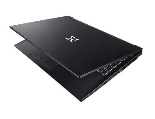 Игровой ноутбук Dream Machines RG3050Ti-15KZ40