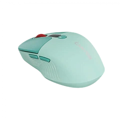 CANYON mouse MW-26 LCD Silent Dual Mode Wireless Green